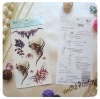 Wholesale Animal Temporary Tattoo Sticker (WF-6058)