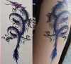 Wholesale OEM&ODM High quality Tattoo sticker