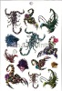 Wholesale Body Tattoo Sticker