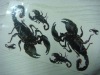 2011 scorpion tattoo sticker