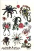 Wholesale Body Tattoo