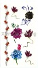 Wholesale Skin Beautiful Tattoo