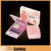 Wholesale SKR Cosmetics 4 colors Charm eyeshadow SK603