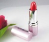 Wholesale charming lipstick