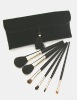 Wholesale Professional cosmetic brush set