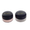 Wholesale loose powder