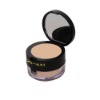 Wholesale loose powder