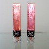 Wholesale Sansxo Lip Gloss