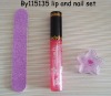 Wholesale eye and lip set