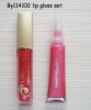 Wholesale lipgloss set