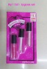 Wholesale lipgloss set