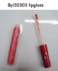 Wholesale lipgloss