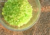 Green Tea Whitening Bath Salt ( SPA Salt )