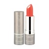 Wholesale lipstick