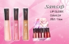 Wholesale Sansxo Lip Gloss