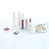 Wholesale Cosmetic set