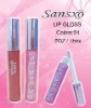 Wholesale Sansxo Lip Gloss