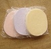 Wholesale Wet and dry sponge flutter