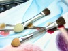 Wholesale sumudger cosmetic foam eyeshadow sponge tip