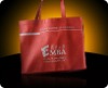 Wholesale Non woven promotional bag(NW-2413)