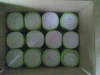 cotton swab