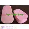 Wholesale Fiber Cleansing Sponge