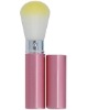 Wholesale plastic professional retractable powder brushes