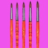 Wholesale Nail art brush