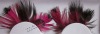 Wholesale fashion colorful feather eyelash
