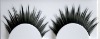 false eyelash