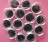 Wholesale AAA individual eyelash extension
