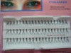 individual eyelash