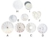 Wholesale Diamond box