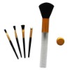 Mini 5pcs cosmetic brush set