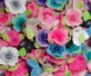 Wholesale 2011 Hot Sale colorful clay flower for decorating !!