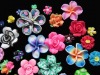 Wholesale modeling clay flower craft different kinds of polymer clay