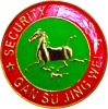 Wholesale pin badge
