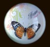 Wholesale Butterfly dome paper weight