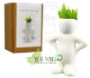 Wholesale Grass head,mini Plant,little White Man