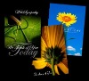 Wholesale Greeting cards