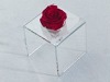 Wholesale fashion flower vase