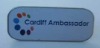 Wholesale Badge