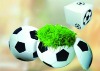Wholesale football grass toy