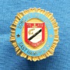 Wholesale 3D metal badge