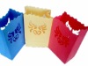 Wholesale 2011 New Luminaria Candle Bag