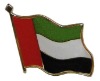 Wholesale Fashion Flag Pin