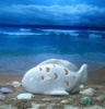 Wholesale ceramic fish