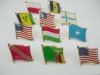 Wholesale 2011 hot flag pin badge
