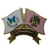 Wholesale Flag Die Struck Lapel pins