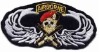Wholesale Embroidery army patches & badge with airborne